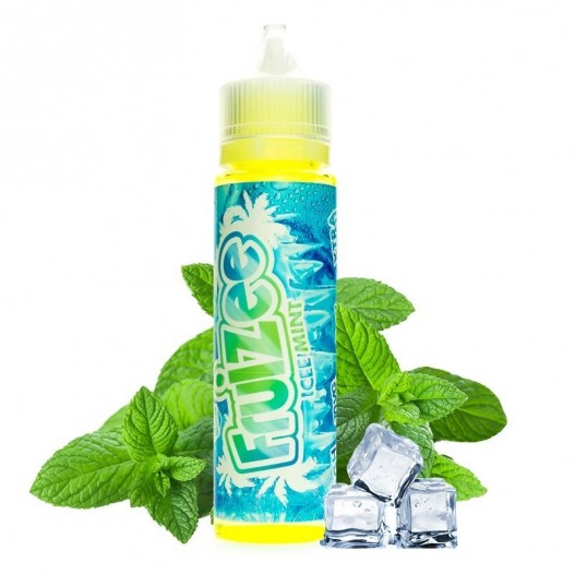 Icee Mint 50ml - Fruizee